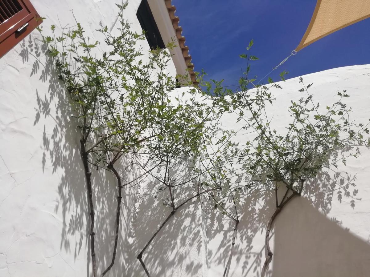 Two Lofts Διαμέρισμα Matalascañas Εξωτερικό φωτογραφία